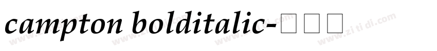campton bolditalic字体转换